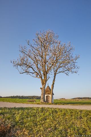 Gemeinde Wurmannsquick Landkreis Rottal-Inn Martinskirchen Kapelle (Dirschl Johann) Deutschland PAN